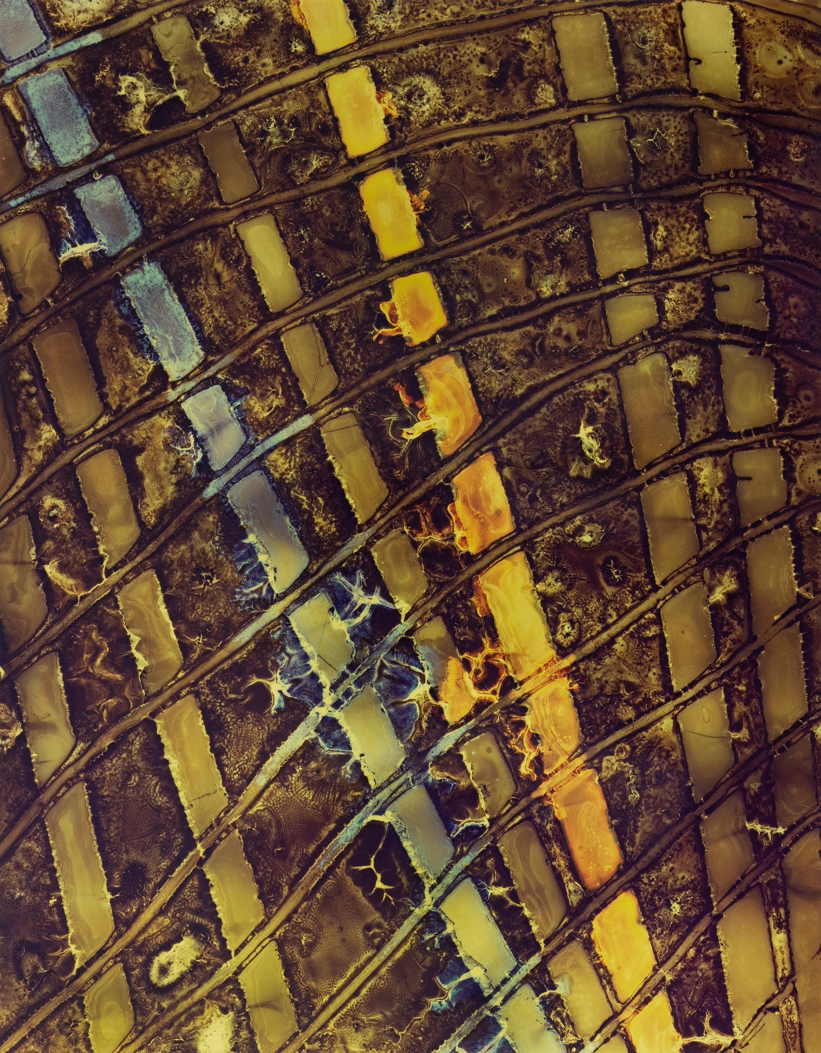 Geschwungene, leiterartige Bahnen in Gold und Hellblau auf braunem Grund.