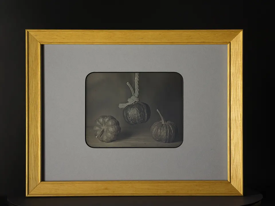 Gerahmte Daguerreotypie: Drei Kürbisse.