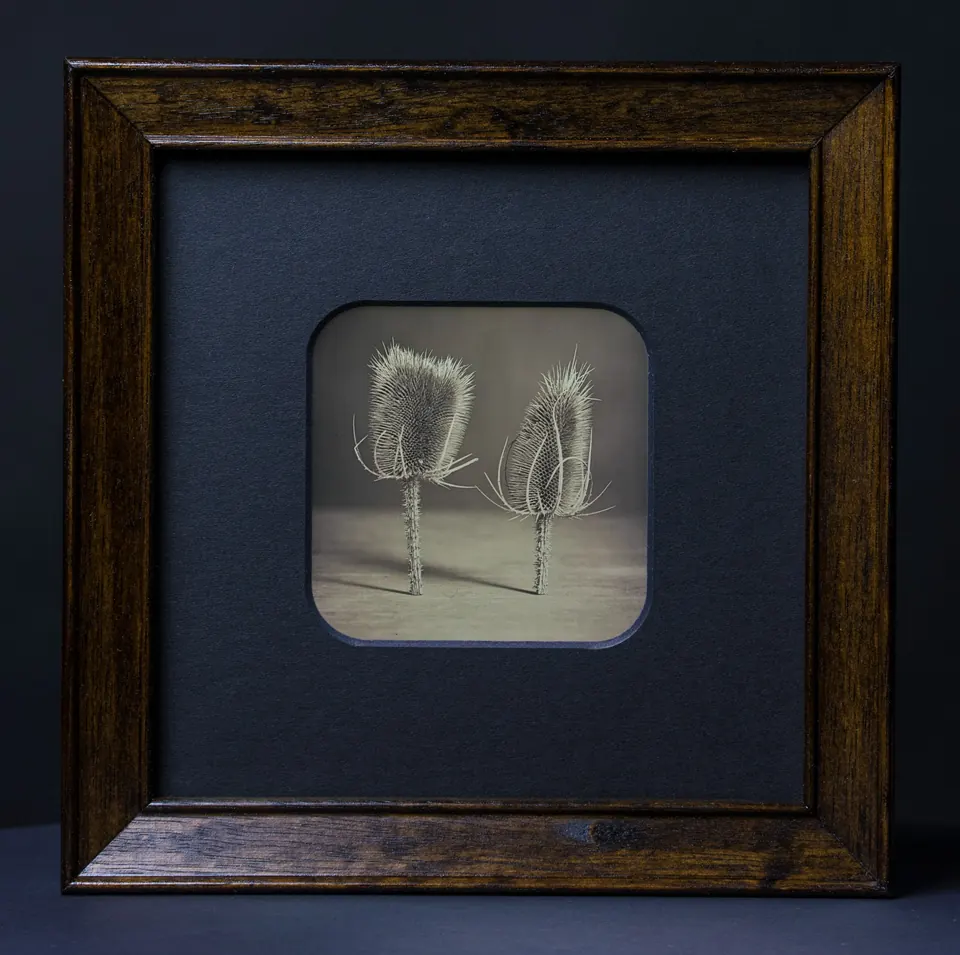 Gerahmte Daguerreotypie: Ein Paar.