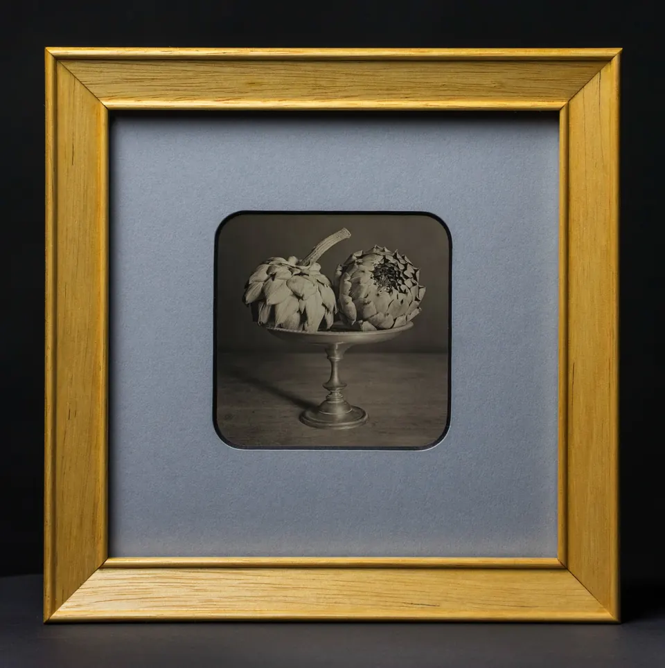 Gerahmte Daguerreotypie: Zwei Artischocken.