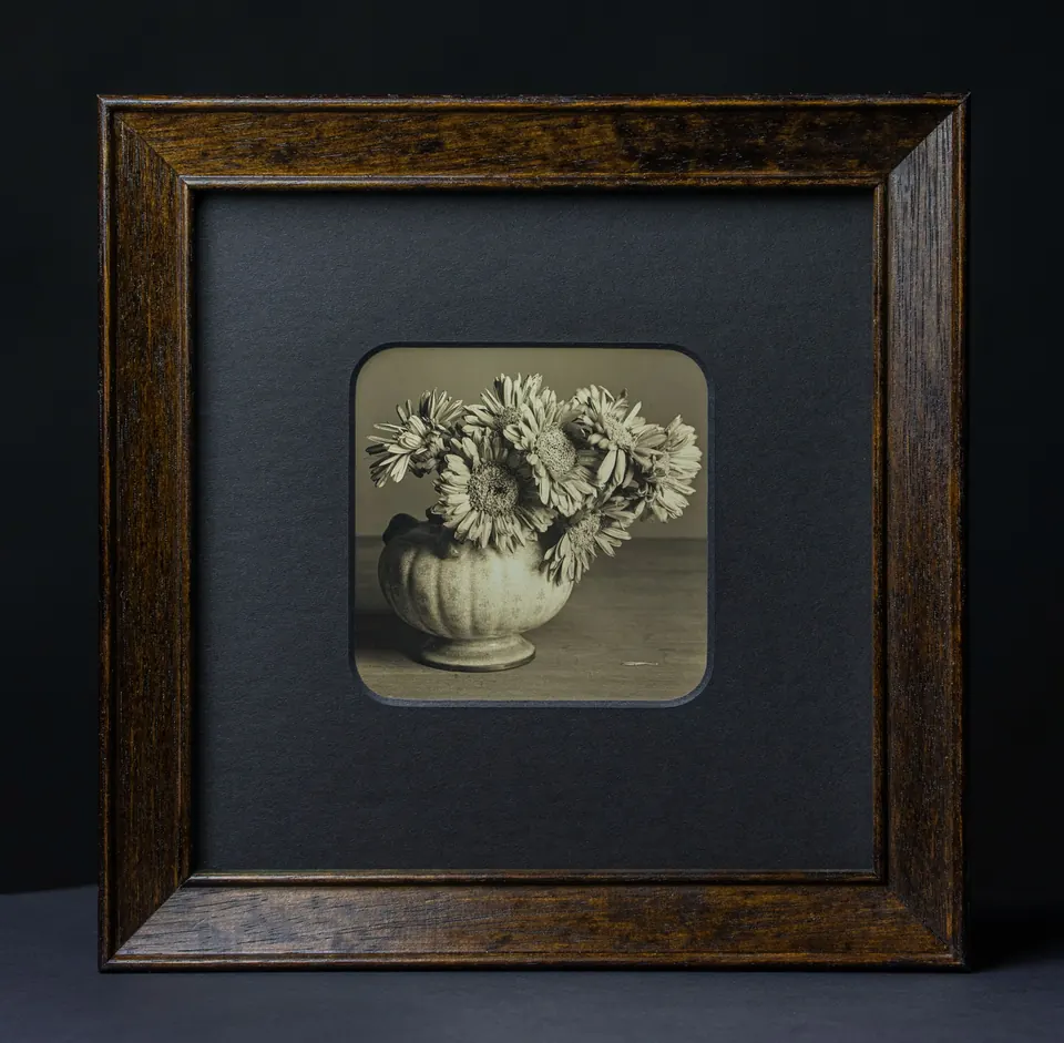 Gerahmte Daguerreotypie: Gerbera-Stillleben.