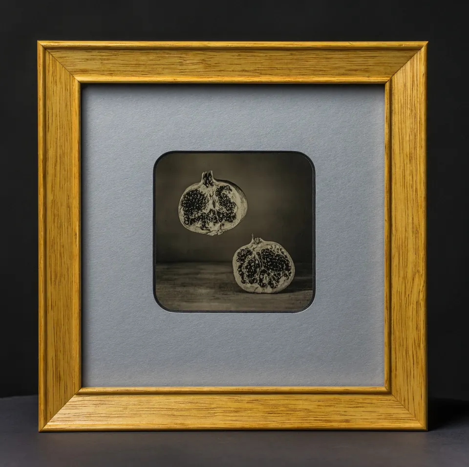 Gerahmte Daguerreotypie: Geteilter Granatapfel.