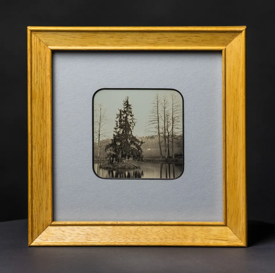 Gerahmte Daguerreotypie: Wörsinger Weiher.