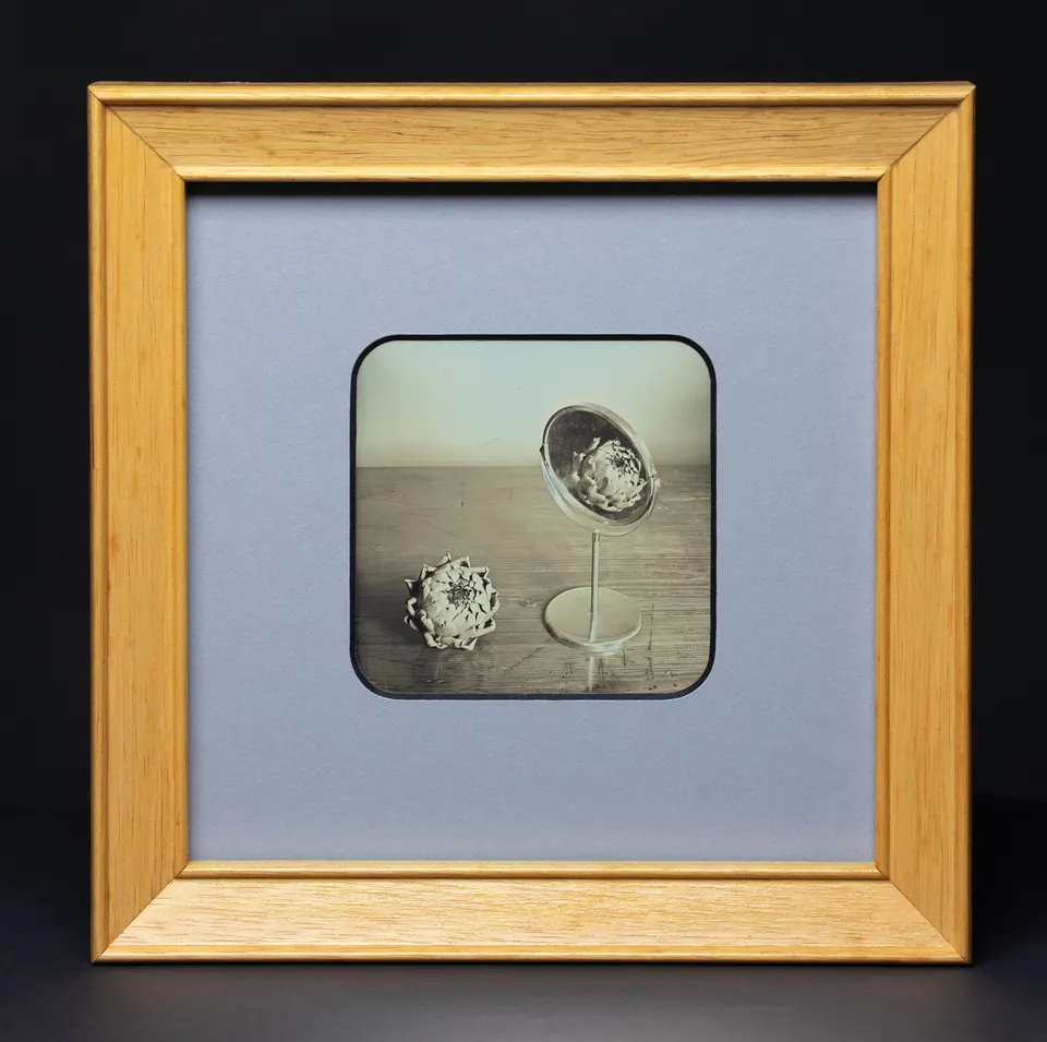 Gerahmte Daguerreotypie: Zwei Artischocken.