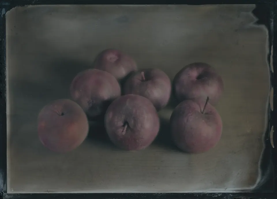 Handkolorierte Ambrotypie aus Stillleben, 2023, Aufnahme 2.