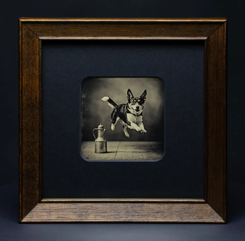 Gerahmte Daguerreotypie: Der Hund.